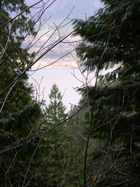 Waukeena Mult Falls 11.26.05 033 